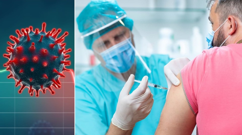 Podle vědců je vakcinace dvěma dávkami zásadní pro imunitu
